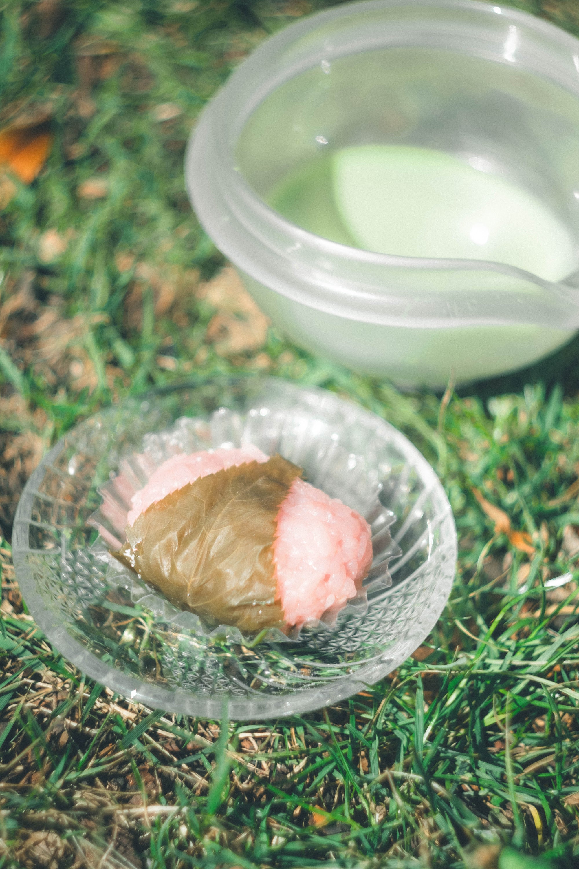 Spring Daifuku Set Pre Order