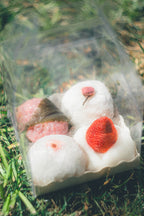 Spring Daifuku Set Pre Order